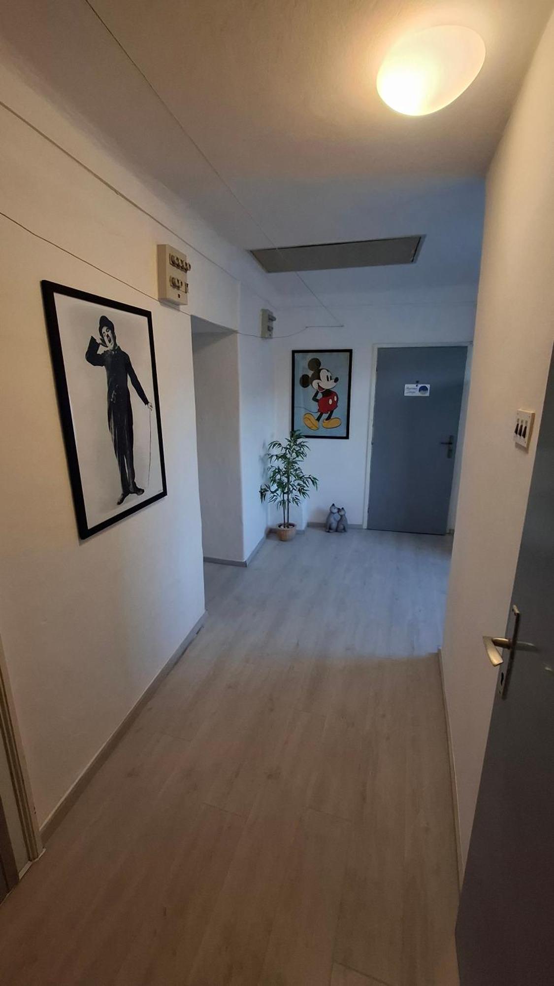 Apartman Darija Pazin Exteriér fotografie