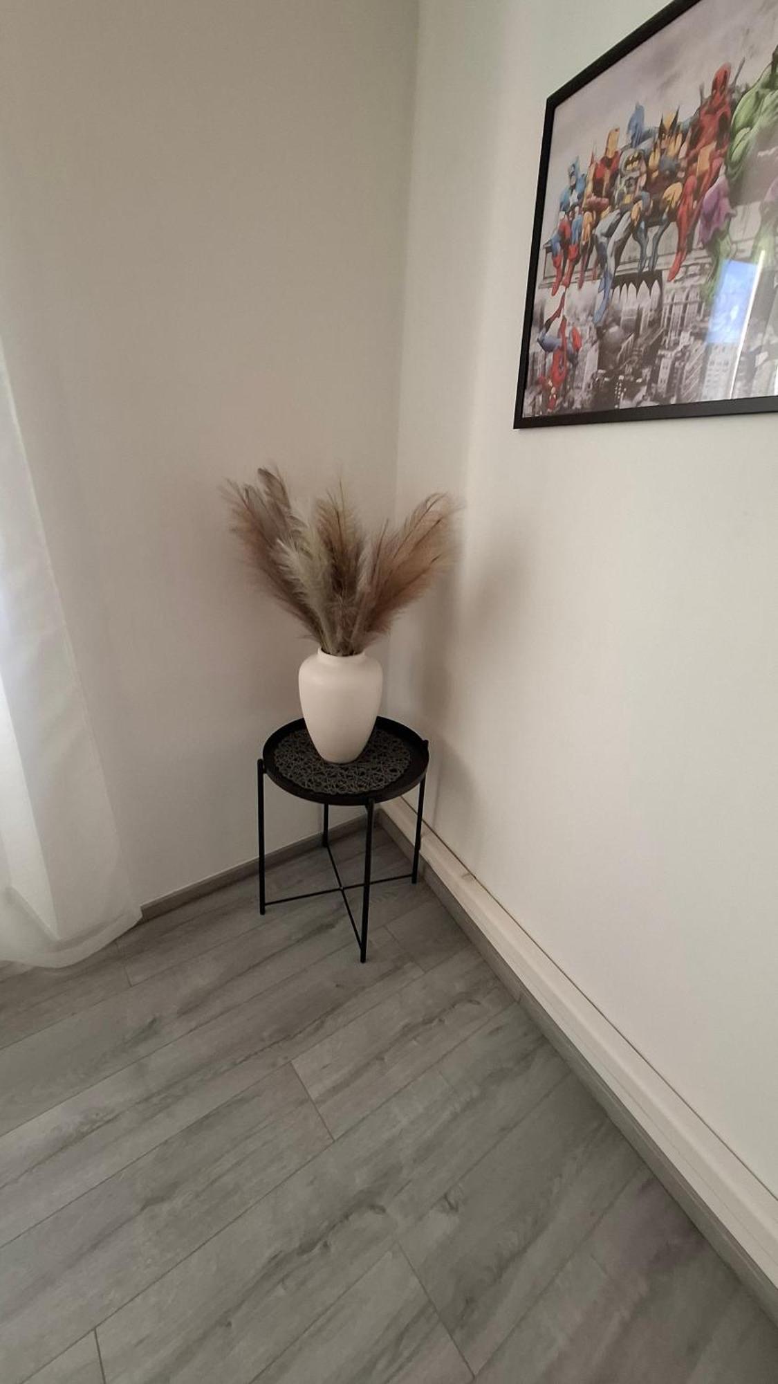Apartman Darija Pazin Exteriér fotografie